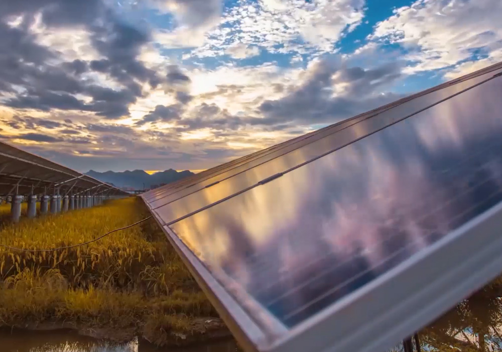 今年会jinnianhui视频